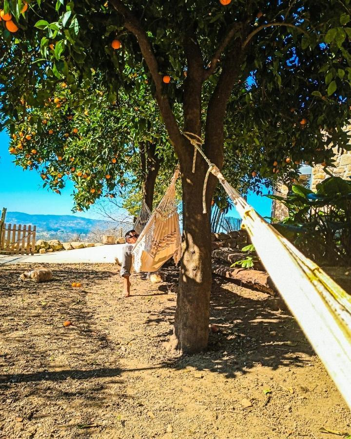 Verde Agua Agroturismo E Agricultura Biologica Couto ภายนอก รูปภาพ