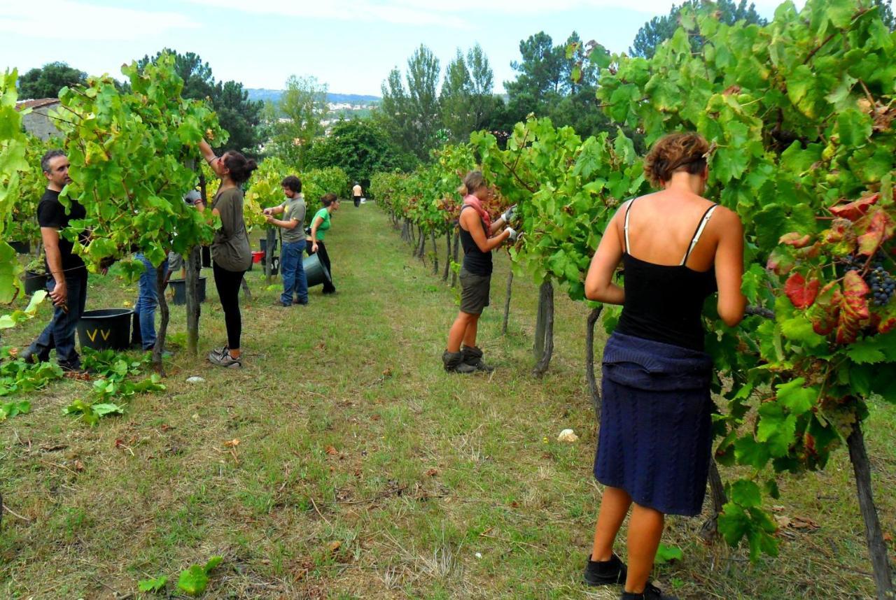 Verde Agua Agroturismo E Agricultura Biologica Couto ภายนอก รูปภาพ