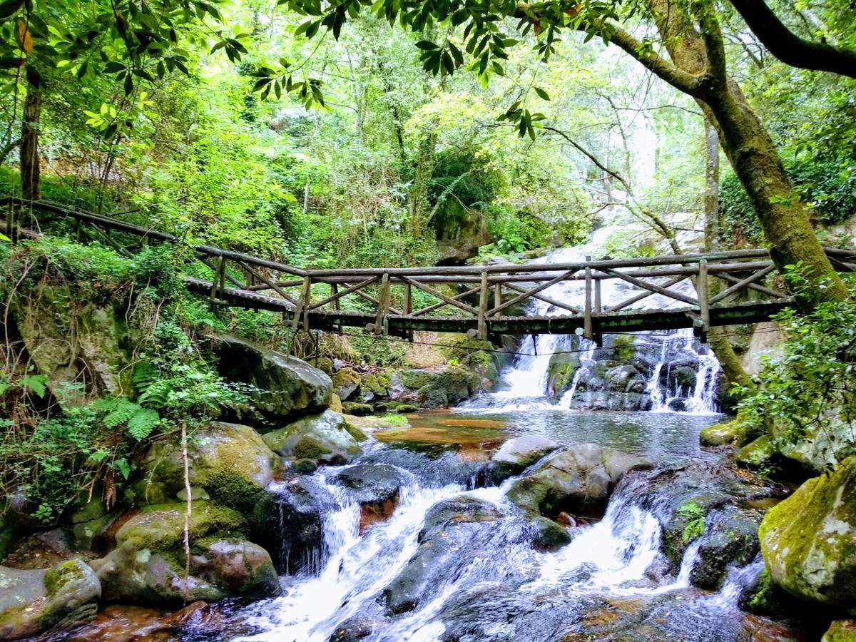 Verde Agua Agroturismo E Agricultura Biologica Couto ภายนอก รูปภาพ